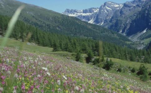 Sud Ovest - 8