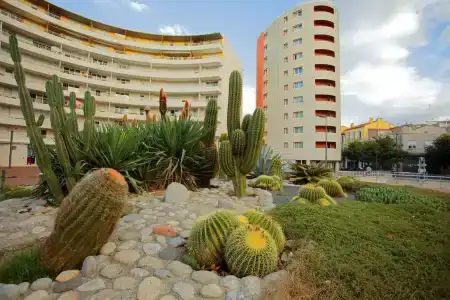 Appart-Hôtel Mer & Golf City Perpignan Centre - 14