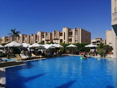 Panacea Borg El Arab - 13