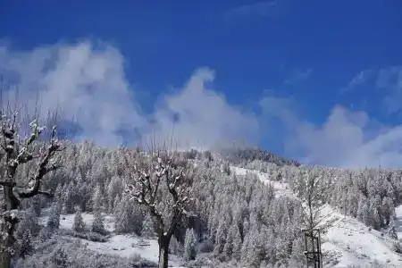 Typically Swiss Altana - 36