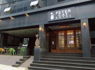 Petercat Shinchon - 0