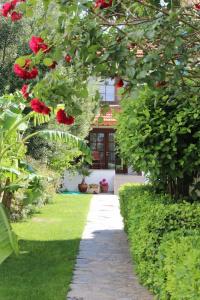 Foca Antik Otel - 128