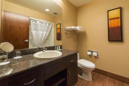 Quality Inn & Suites - 58