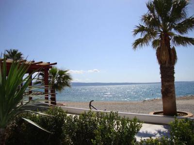 Gala Split - 15