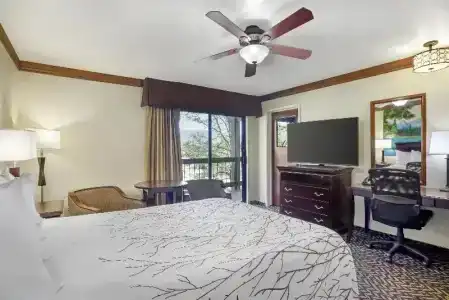 Best Western Plus Yosemite Gateway Inn - 118