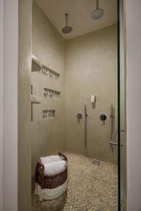 Petri Suites - 14