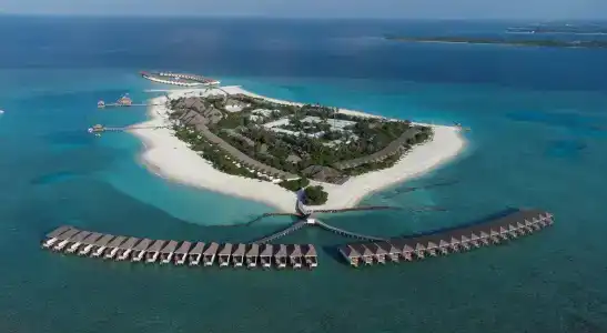 Brennia Kottefaru Maldives - 26