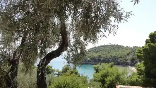 Alonissos Beach Bungalows And Suites - 148