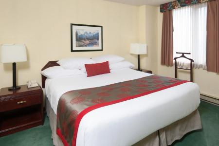 Ramada Plaza Airport and Conference Centre - 26