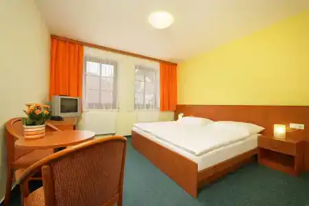 Záviš z Falkenštejna - 7
