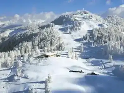 Zinnkrügl - 9