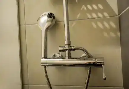 Entelia - 65
