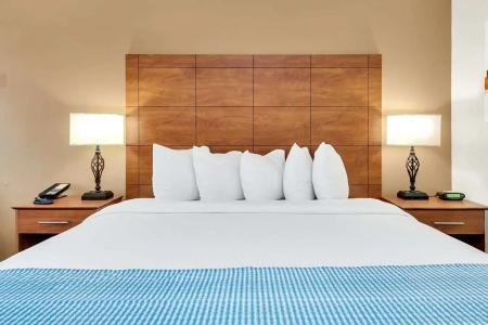 Best Western Orlando Gateway - 50