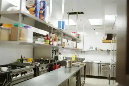 Vanda - 10