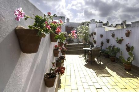 Un Patio al Sur - 27