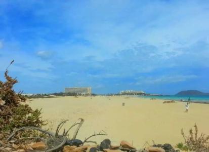 Riu Oliva Beach Resort - All Inclusive - 14