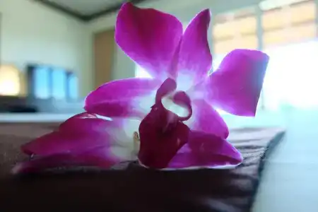 Lanta Mermaid Boutique House - 187