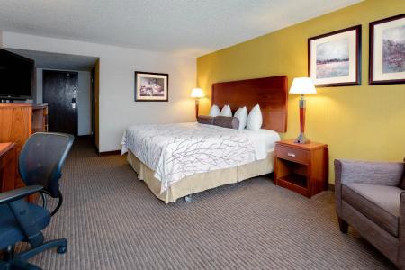 Executive Inn by the Space Needle - 29