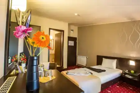 Villa Boyana - 19