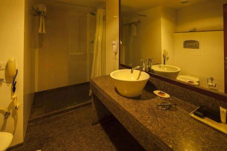 Vesta Maurya Palace - 13