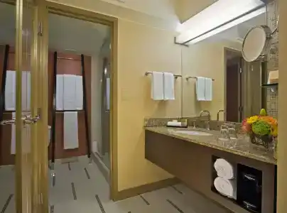 Hyatt Regency Dfw International Airport - 20