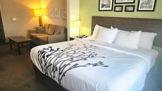 Sleep Inn & Suites -Eisenhower Boulevard - 34