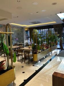 Grand Hamit Airport - 47