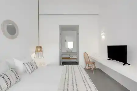 Eucalyptus - 14