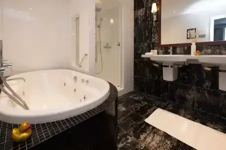 Golden Tulip Central - 127