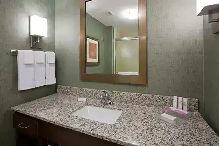 Homewood Suites by Hilton Mayo Clinic-St. Marys Campus - 69