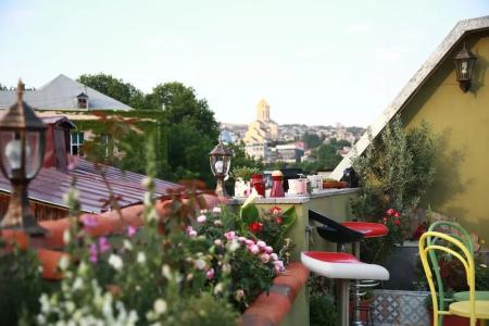 Terrace Garden - 16