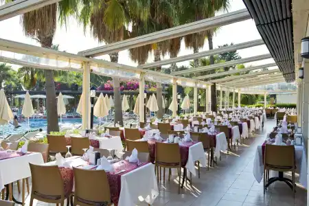 Trendy Palm Beach - 39