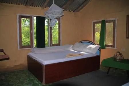 Bardia Forest - 1