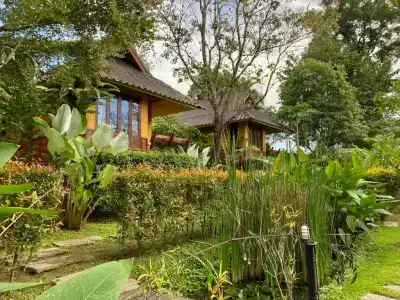 Pura Vida - 33