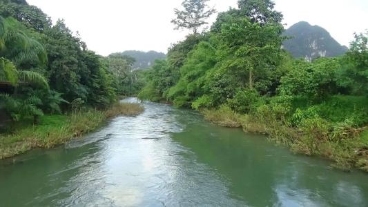 Tree Tops River Huts - 38