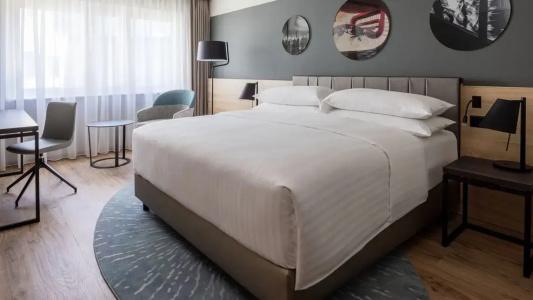 Swissotel Le Plaza Basel City - 85