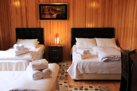 Ayder Villa de Pelit - 4