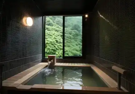 Yumoto Ueyama Ryokan - 22