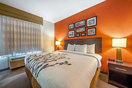 Restwell Inn & Suites I-45 North - 58