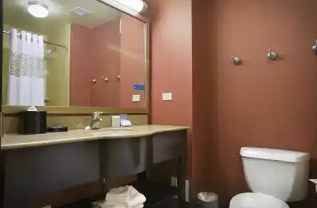 Hampton Inn Majestic Chicago Theatre District - 7