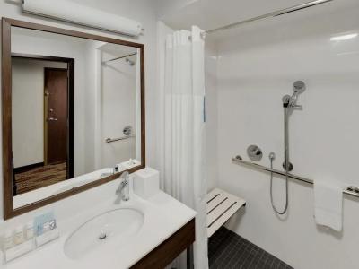 Hampton Inn Majestic Chicago Theatre District - 86