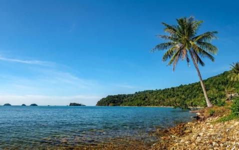 Paradise Bungalows - 7