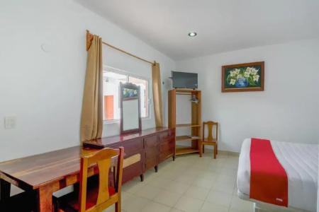 Palma Real - 36