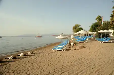 Club Muskebi - 16