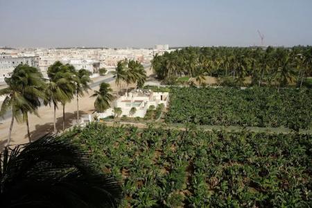 Grand Tayba - 27