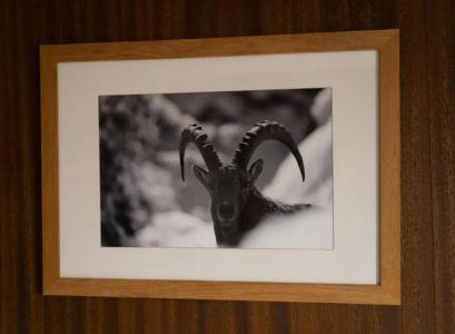 Les Chamois - 28