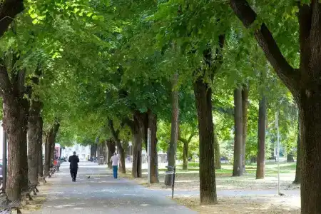 Londra - 14
