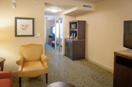 Hilton Garden Inn Airport/Medical Center - 55