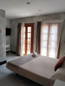 Océano Centro - 37