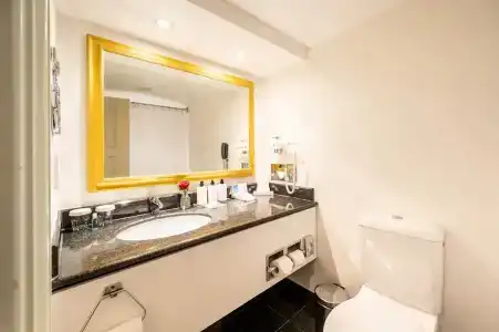 Intercontinental Wien, An Ihg - 60